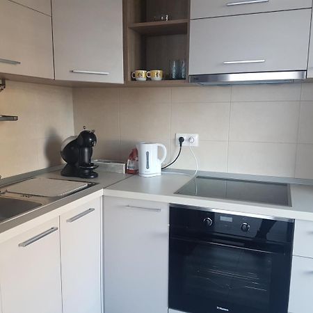 Exquisite Apartament 布拉索夫 外观 照片