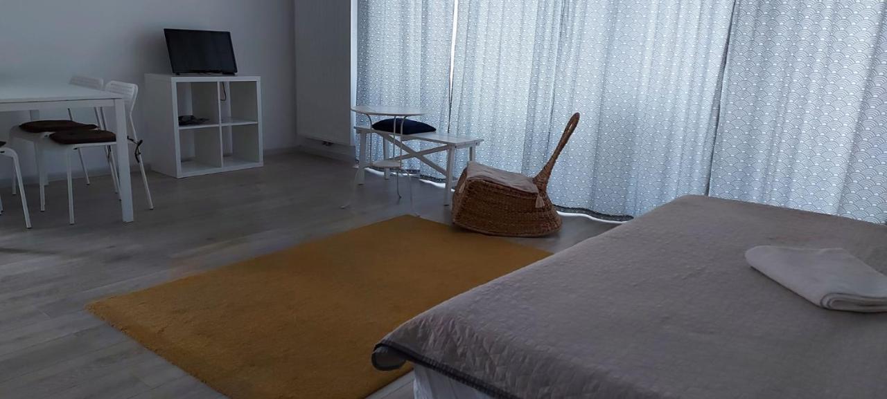Exquisite Apartament 布拉索夫 外观 照片