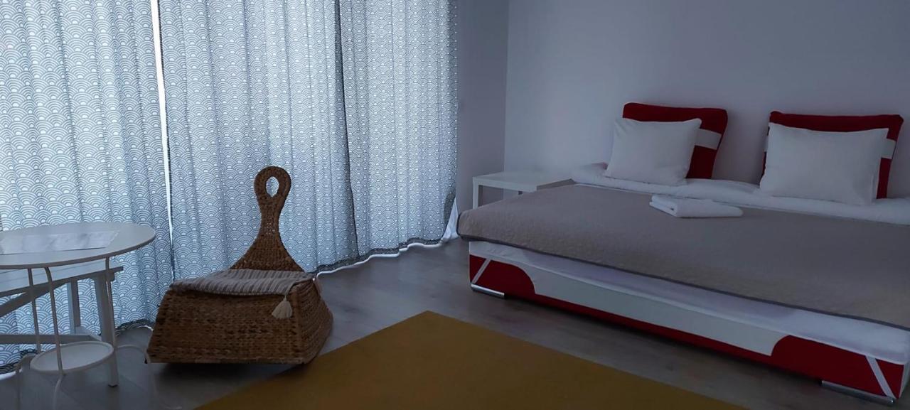 Exquisite Apartament 布拉索夫 外观 照片