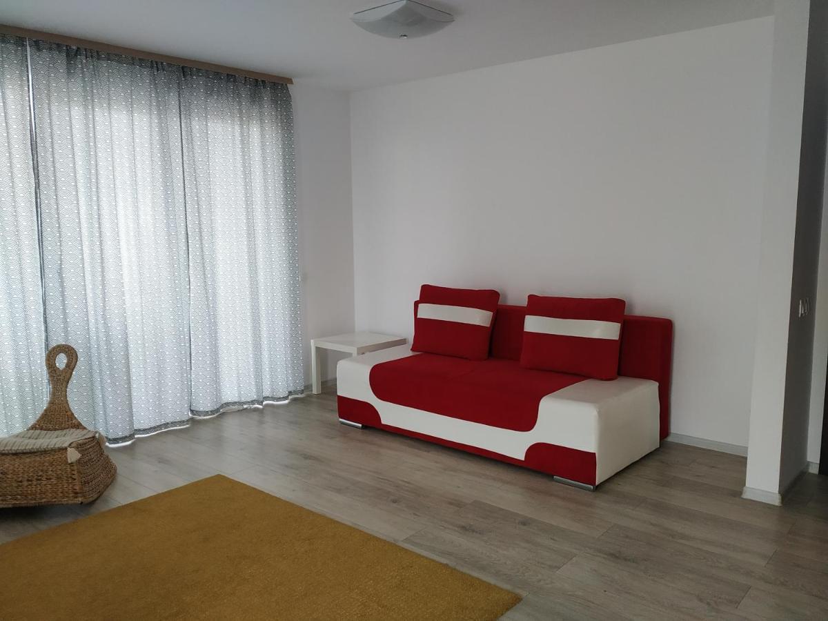 Exquisite Apartament 布拉索夫 外观 照片