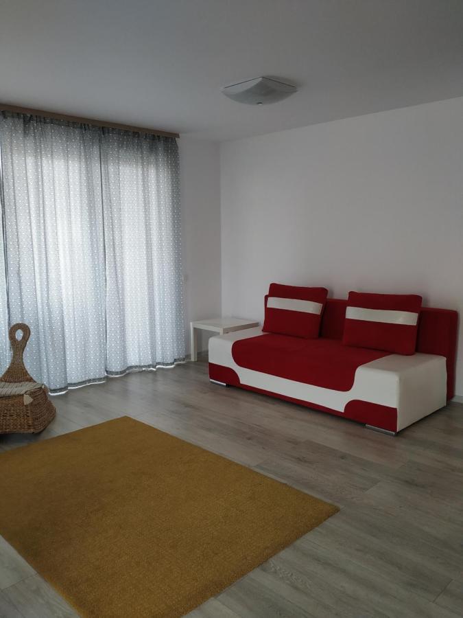 Exquisite Apartament 布拉索夫 外观 照片