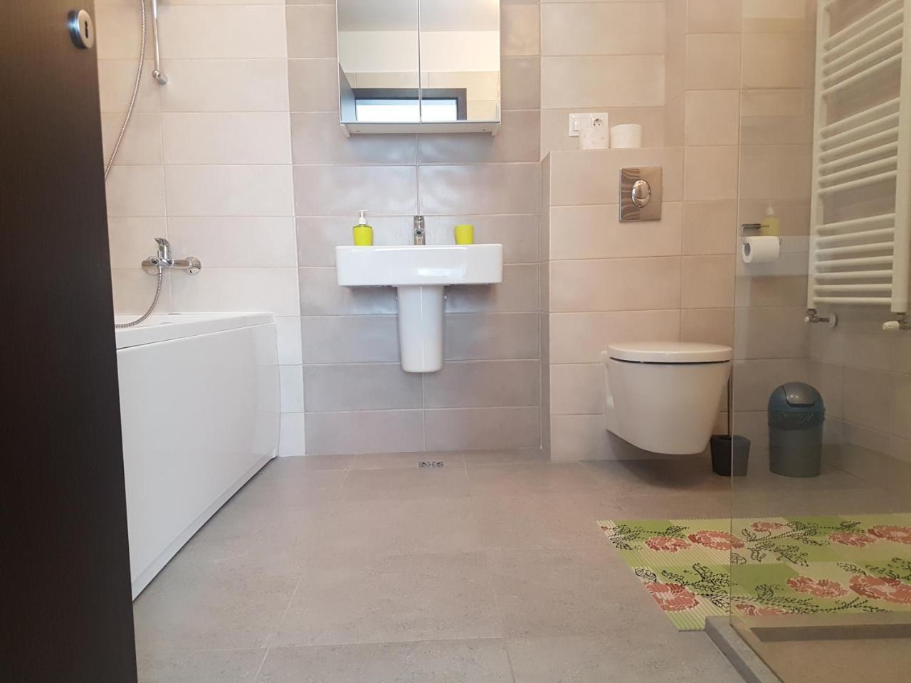 Exquisite Apartament 布拉索夫 外观 照片