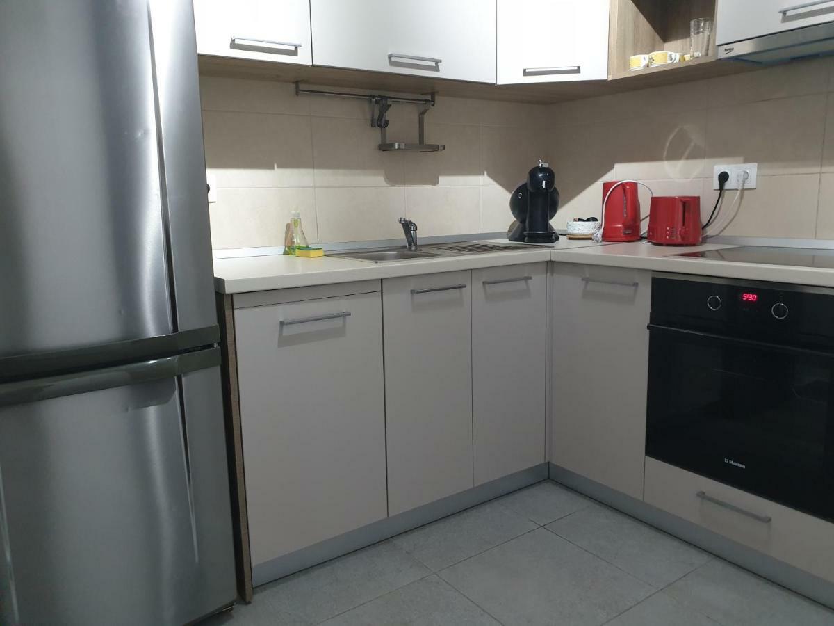Exquisite Apartament 布拉索夫 外观 照片